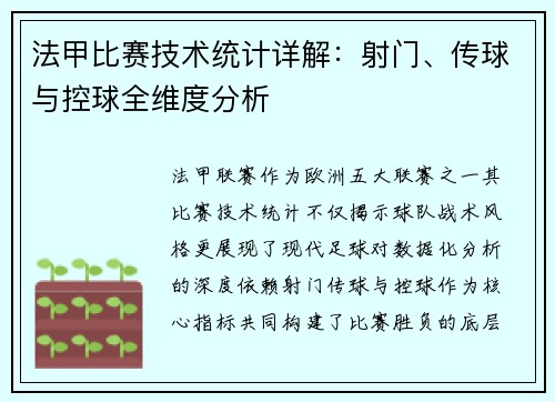 法甲比赛技术统计详解：射门、传球与控球全维度分析